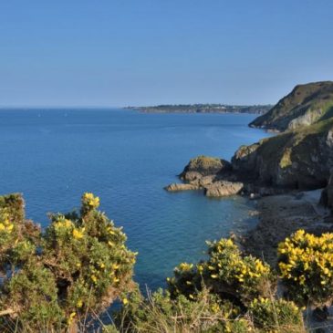 Les falaises de Plouha