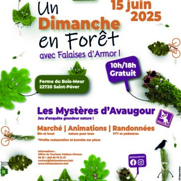 UN DIMANCHE EN FORÊT