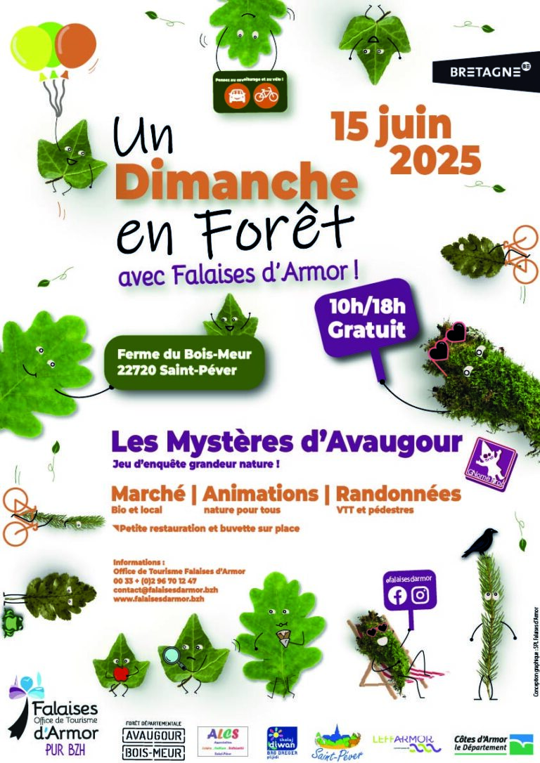 UN DIMANCHE EN FORÊT