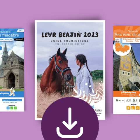 BRIQUE TELECHARGEMENT 2